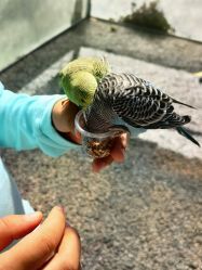 -萌宠亲子动物乐园(槐房万达店)