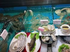 -中苑海韵