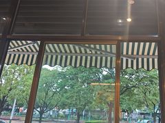 -金塔傣乡·云南民族特色菜·傣味手抓饭(金瓦路店)