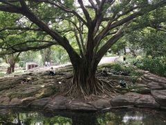 -晓港公园