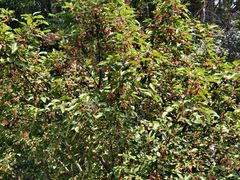 -蓝海岸温泉洗浴