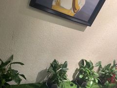 -三强鸽子(中原路店)