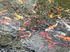 -南通洲际绿博园