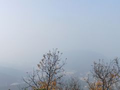 -惠山国家森林公园