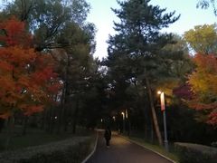 -长春市南湖公园