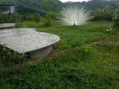 -东部华侨城