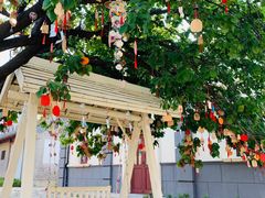 -清风小镇闯关东影视基地