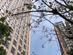 -金汇酒楼(中山东区店)