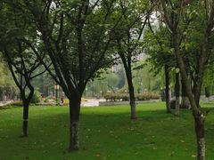 -温江公园