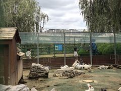 -羊亭河湿地公园