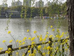 -南汇桃花村
