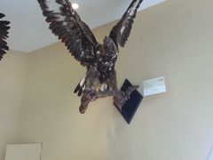 -亿利库布其七星湖沙漠生态旅游区