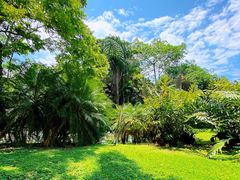 -中国科学院西双版纳热带植物园