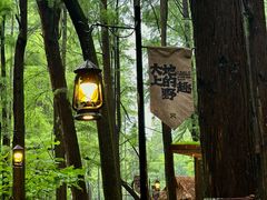 -波尔登森林公园