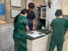 -可蒙动物医院·猫科·骨科中心(首义路店)