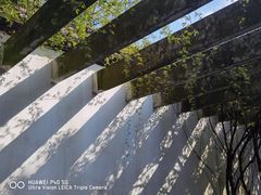 -杭州植物园
