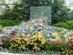 -上海共青森林公园