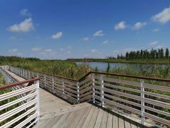 -春花秋色城市公园