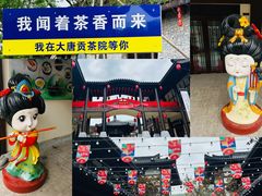 -大唐贡茶院