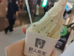 -野人先生现做冰淇淋(北京王府井东方新天地店)