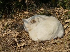 -苏州河梦清园环保主题公园