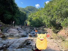 -广州白江湖森林公园