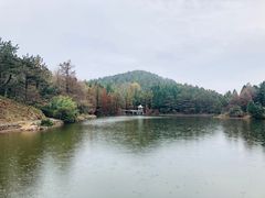 -四明山国家森林公园