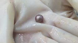 -邵老师打金·黄金加工(大望路总店)