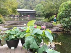 -云溪植物园