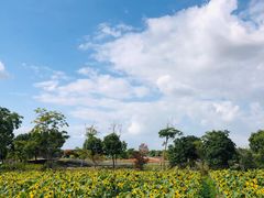 -上海杨姆庄园