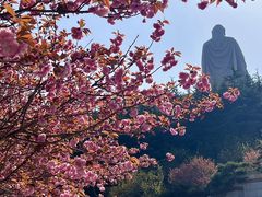 -石岛赤山风景区