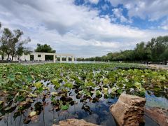 -长春世界雕塑园冰雪艺术天地