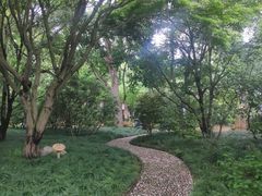 -上海醉白池公园