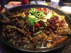 -老板恋上鱼(恒隆广场店)