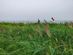 -金梦海湾浴场