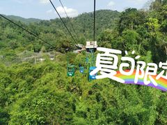 -野象谷景区