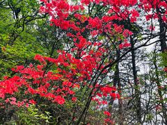 -萍乡武功山风景名胜区
