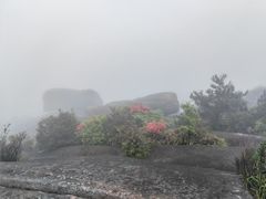 -玉苍山国家森林公园