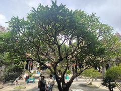 -荔湾湖公园
