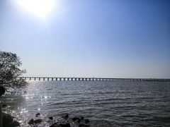 -宝安西湾红树林湿地公园