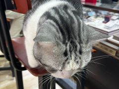 -百金通黄金回收首饰定制维修(珠江路总部)