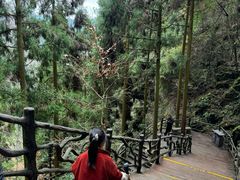 -刘伯温故里景区百丈漈
