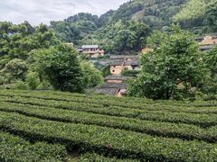 -杨家堂村