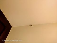 -三亚亚龙湾铂尔曼别墅度假酒店