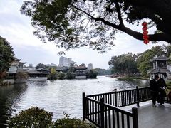 -荔湾湖公园