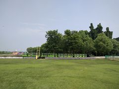 -上海月湖雕塑公园