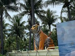 -白沙湾海滩
