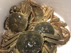 -川骄海鲜自助(河东店)