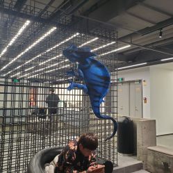 -斑斓色彩沙龙