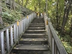 -帽儿山国家森林公园